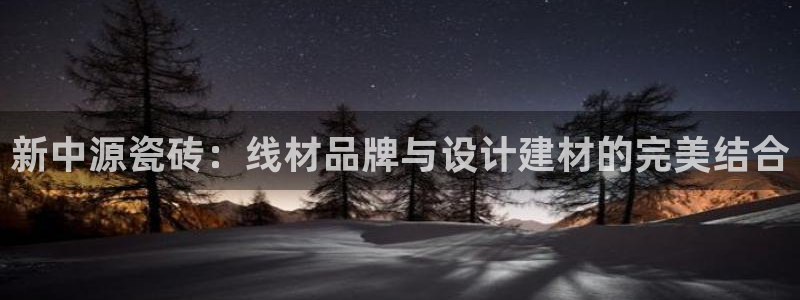 金年会手机app：新中源瓷砖：线材品牌与设计建材的完美结合