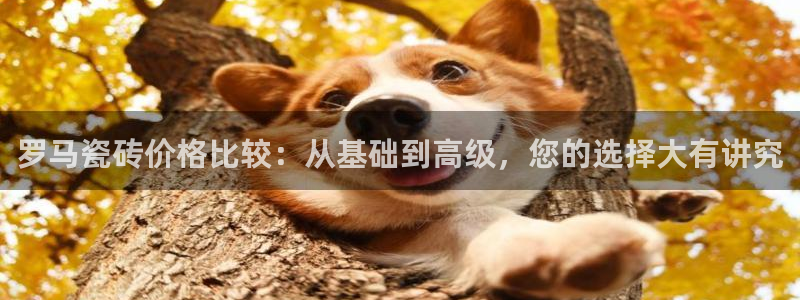 金年会不给提现