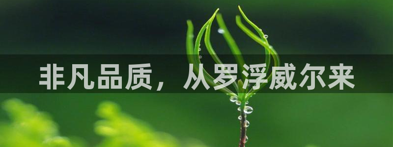金年会黑平台