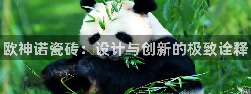 金年会手机官网