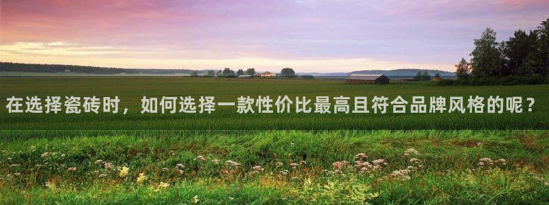 2022金年会
