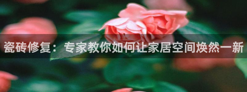 金年会娱乐