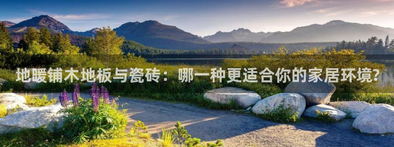 金年会官方入口