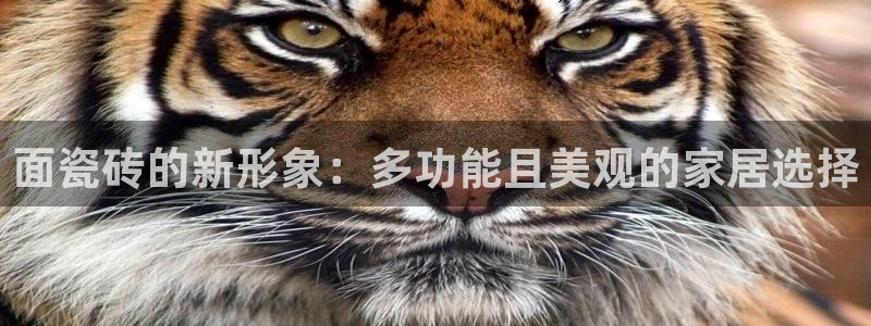 年会金句心得