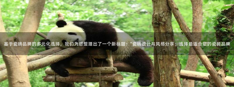 金年会体育平台