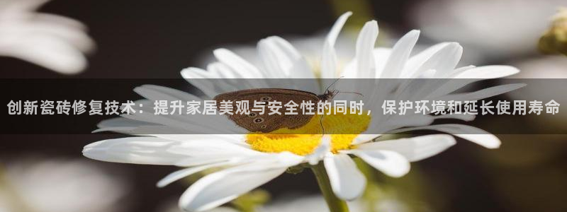 金年会是真的吗