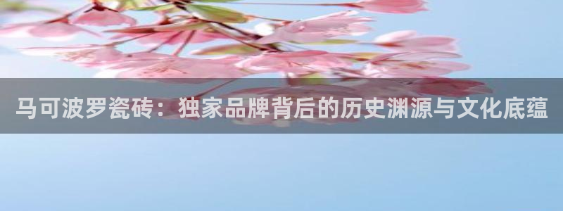 金年会登陆