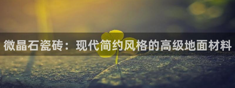 金年会电子游戏app