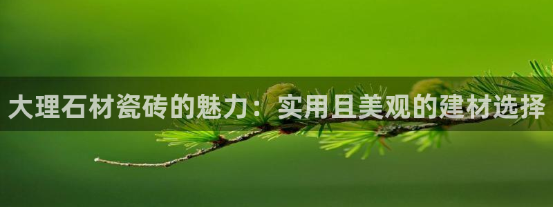 金年会官网入口