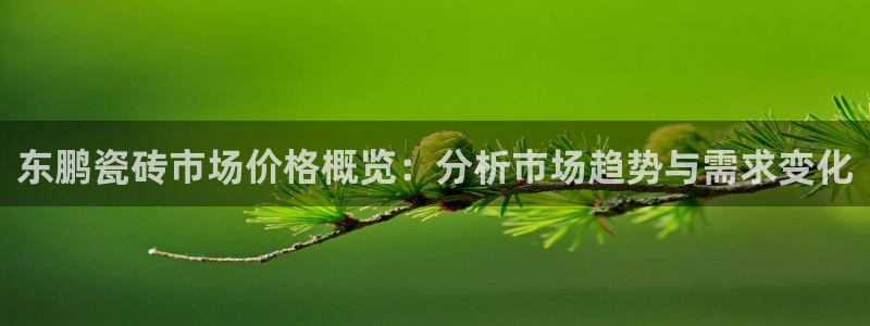 金年会VIP
