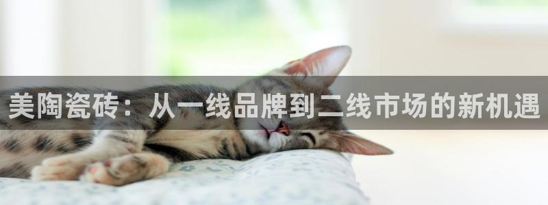 金年会平台包赔