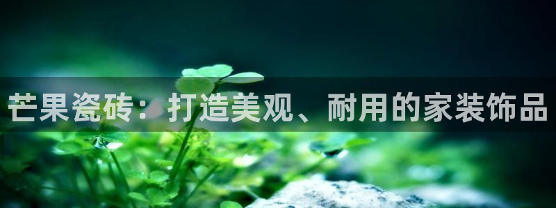 金年会赞助曼联