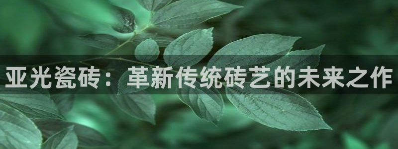 金年会体育app