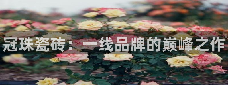 今年会金年会