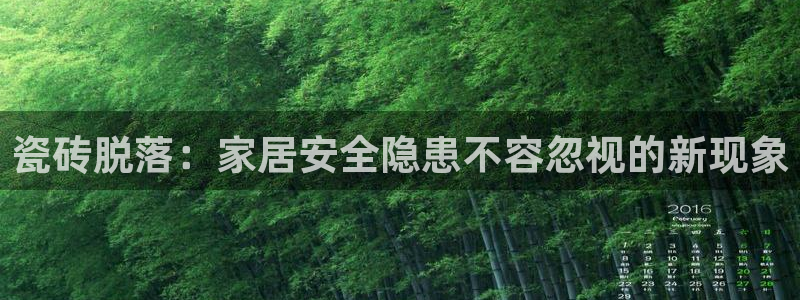 金年会信誉