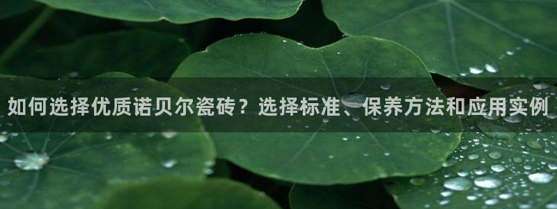 2022年金科年会