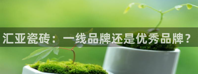 金年会 信誉至上