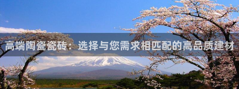 金年会体育娱乐
