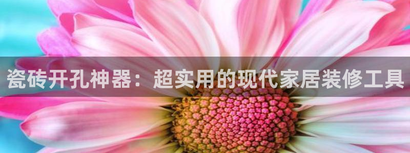 金进年会