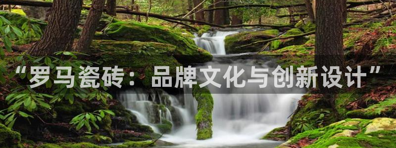 金年会足彩