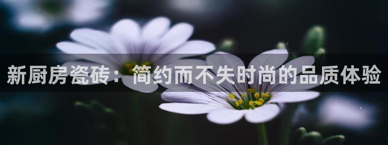 金实年会