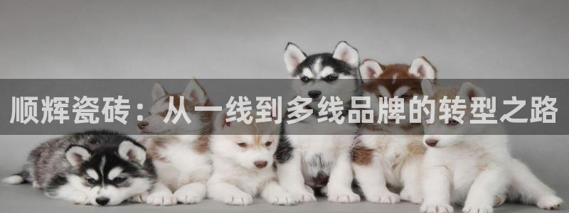 金年会手机官网
