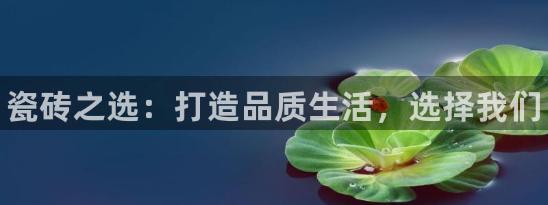 金年会官方客服电话