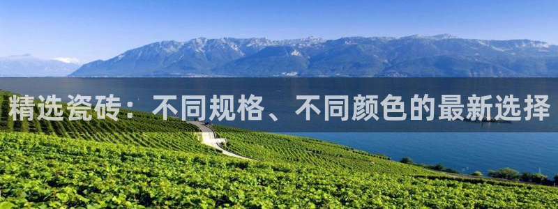 金年会 金字招牌