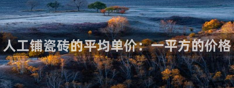 陆金所 年会
