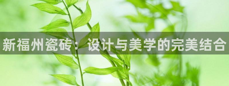 陆金所 年会