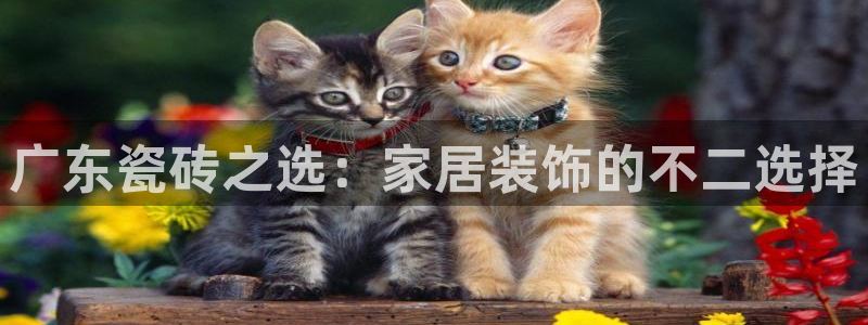 金年会最新官网