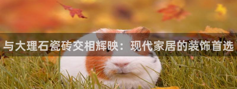 金年会app下载官网