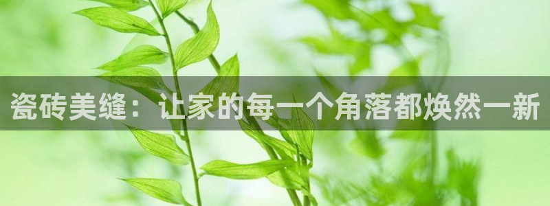金年会入口