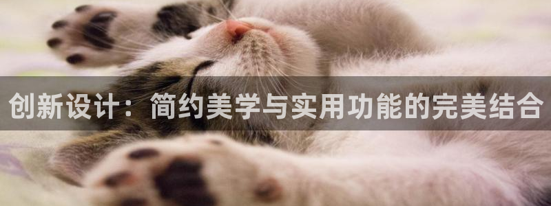 金雅陶瓷年会现场