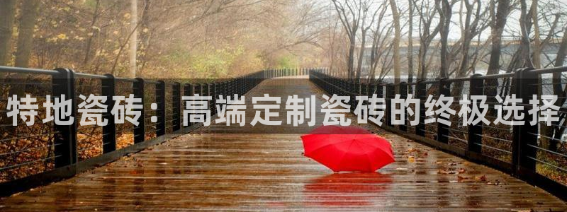 类似金年会