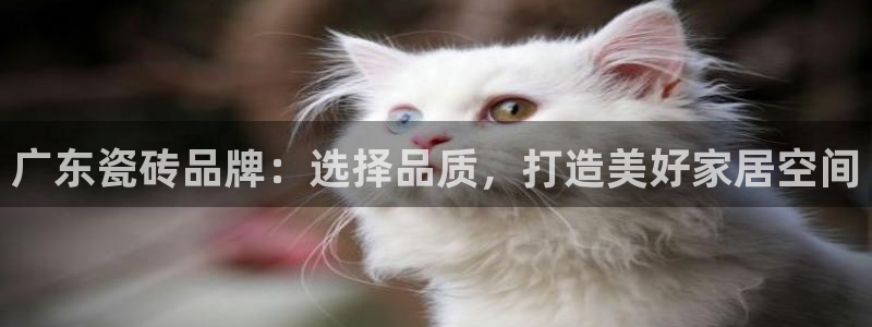 金年会体育官方