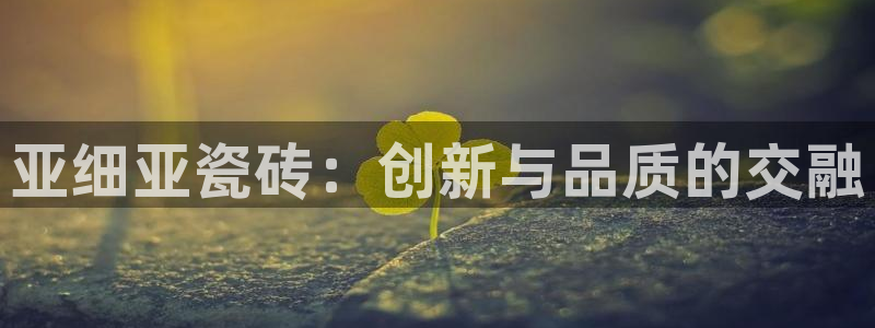 为什么搜索不了金年会