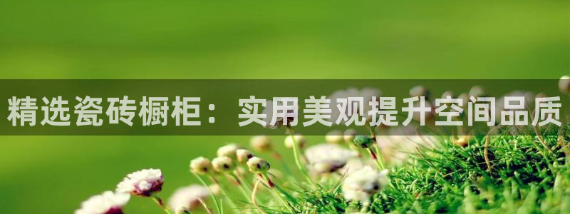 金年会体育app官网
