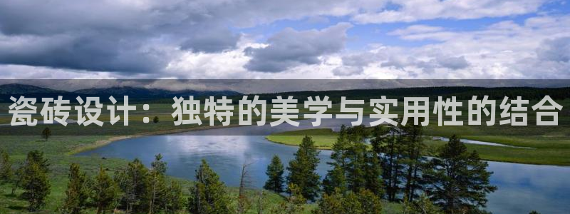 金年会娱乐官网
