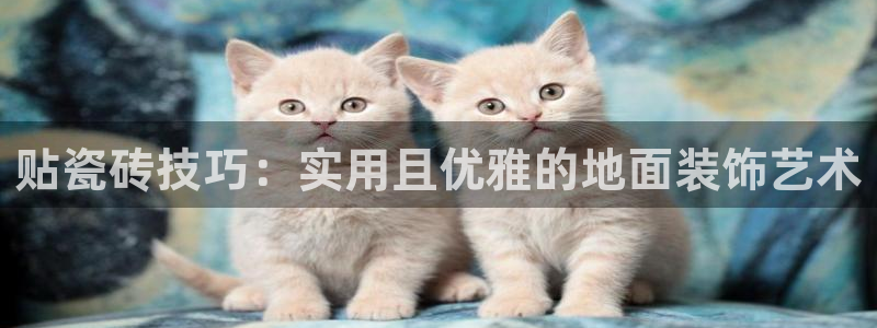 金年会全站app