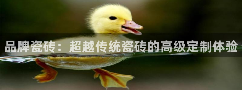 金年会是正规的吗
