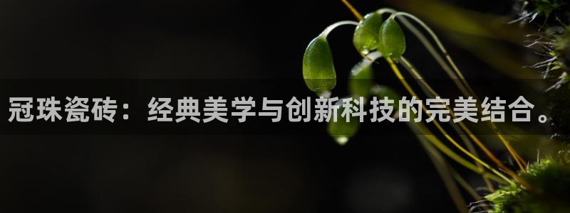 金年会官网地址