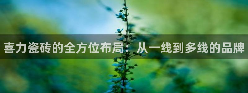 金年会体育官方网站入口