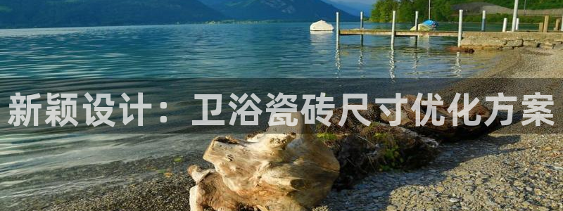 金 金年会