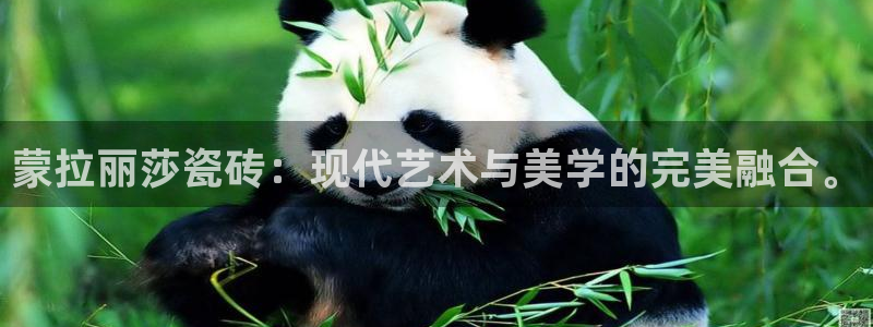 金年会体育在线入口