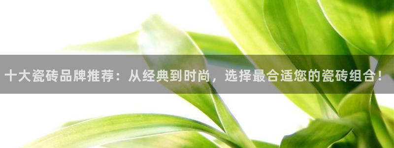 金年会赌博