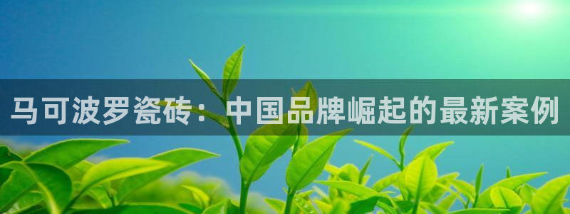 金年会代理