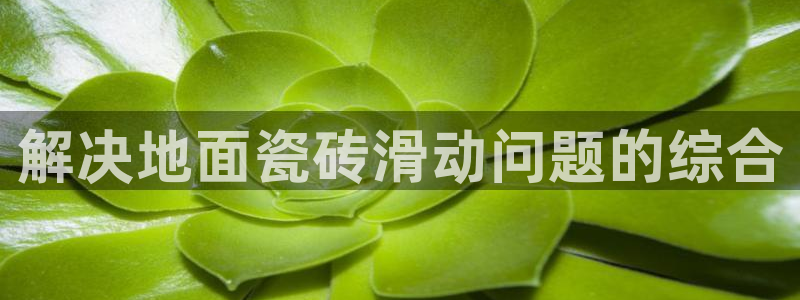 金科年会图片