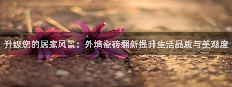 金年会app在线