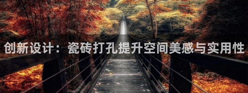 金年会黑网